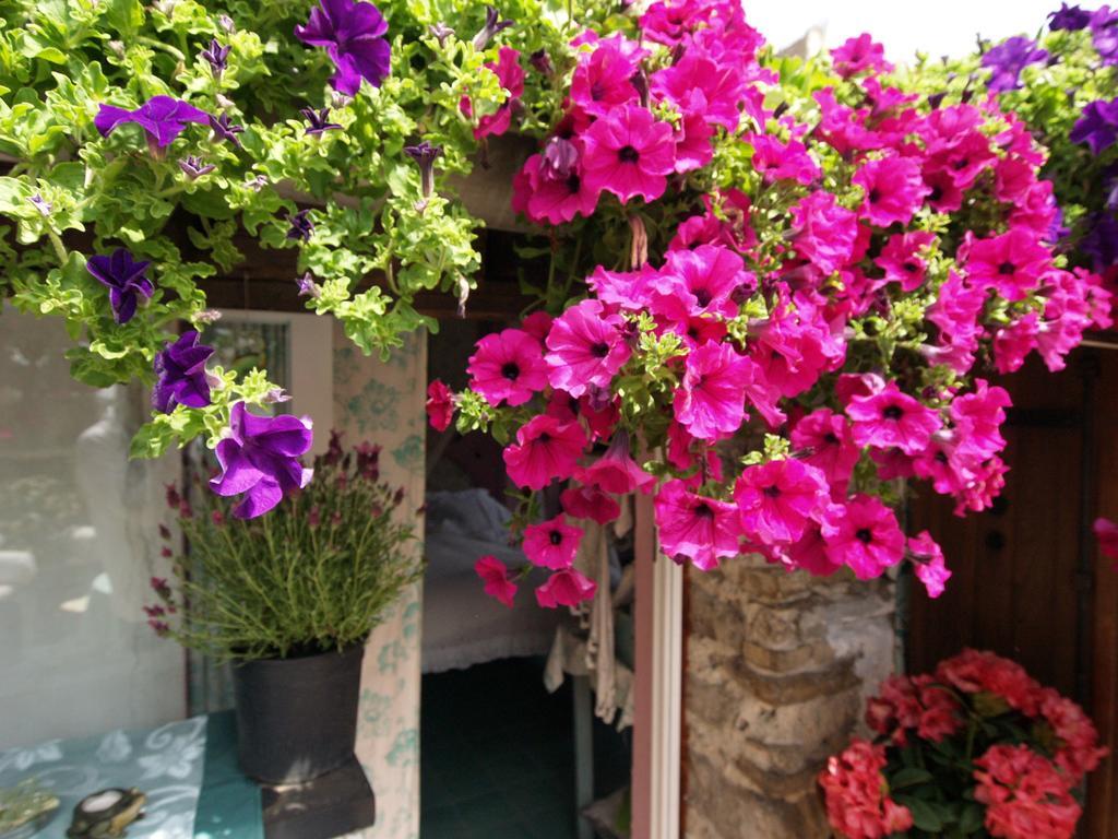 Le Petit Chateau Bed & Breakfast Dolceacqua Dış mekan fotoğraf
